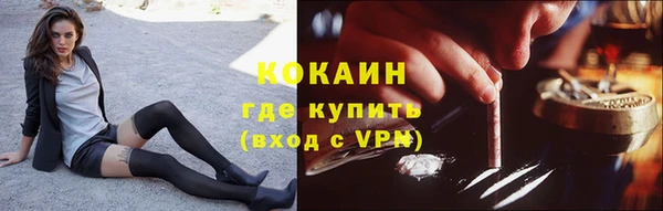 прущие грибы Медногорск