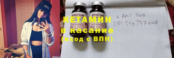 прущие грибы Медногорск