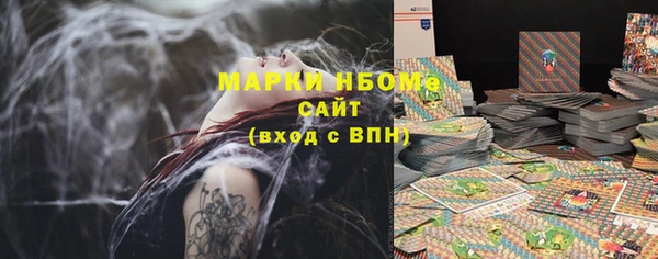прущие грибы Медногорск