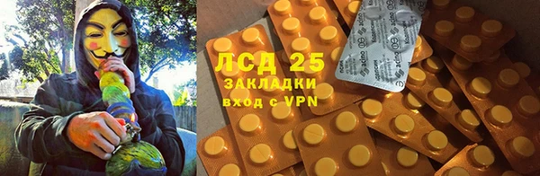 прущие грибы Медногорск
