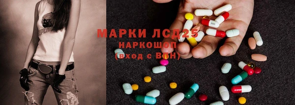 прущие грибы Медногорск