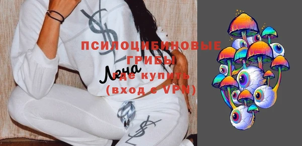 прущие грибы Медногорск