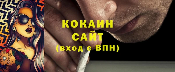 прущие грибы Медногорск