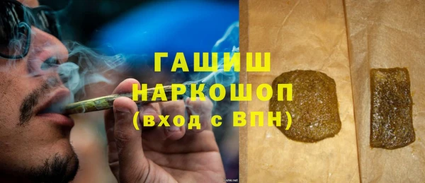 прущие грибы Медногорск