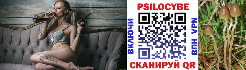 Псилоцибиновые грибы прущие грибы  Оренбург 
