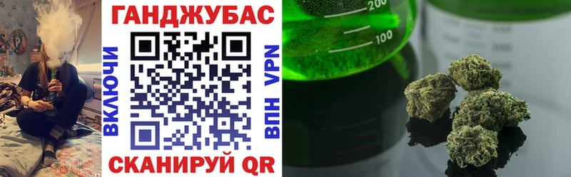 Конопля сатива  Оренбург 